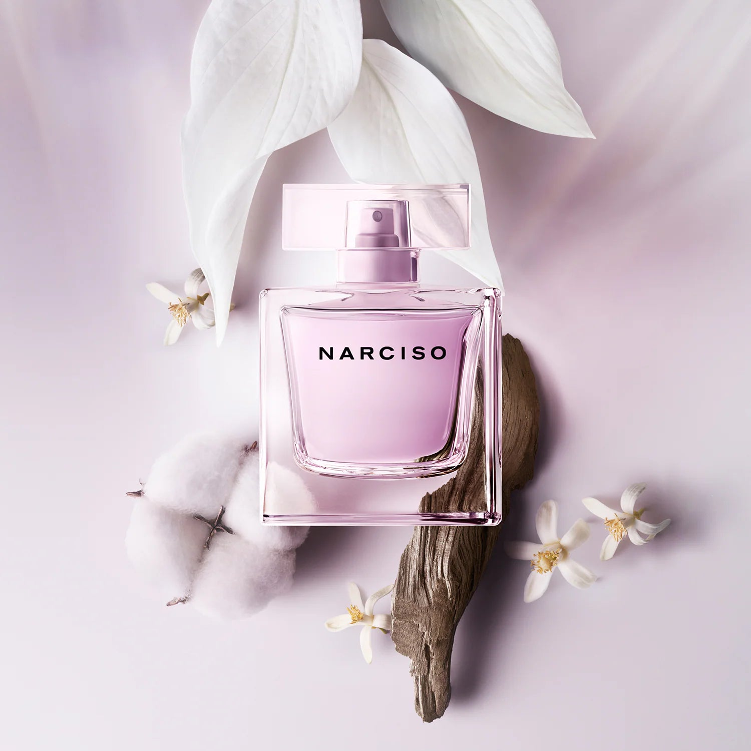 Narciso Rodriguez Ladies Radiante EDP 90ml