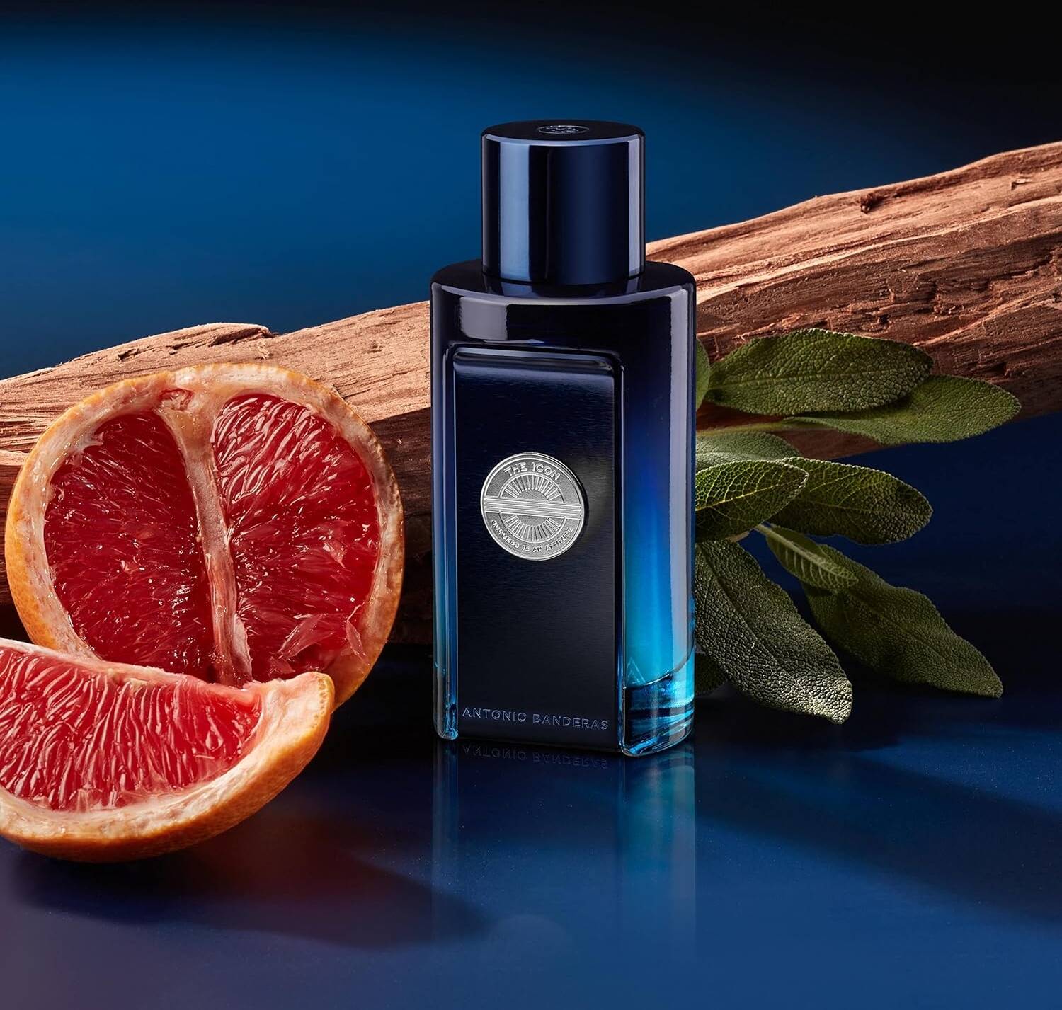 Antonio Banderas Fragrances Collections