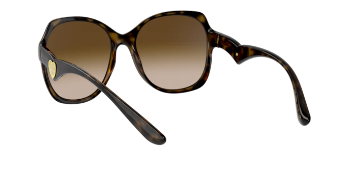Dolce & Gabbana 0DG6154 502/13 Women Transparent Brown Sunglasses