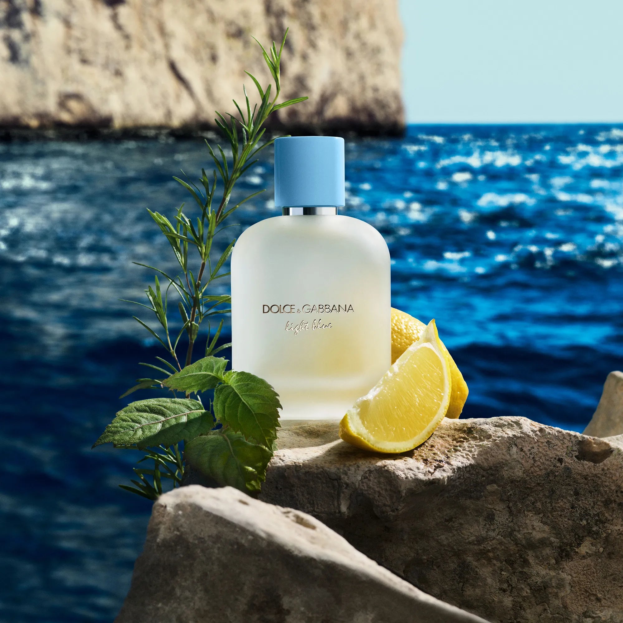 Dolce & Gabbana Light Blue Eau de Toilette 100 ml