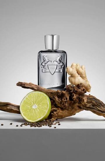Parfums De Marly Castley EDP 125ml