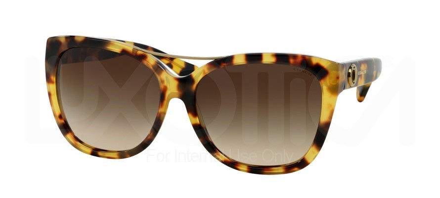 Coach 8122 517513-Women Sunglass Tokyo Tortoise-GL