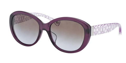 Coach 8106 523968-Women Asha Asian Fit Sunglass Purple/Light Purple Crystal-GL