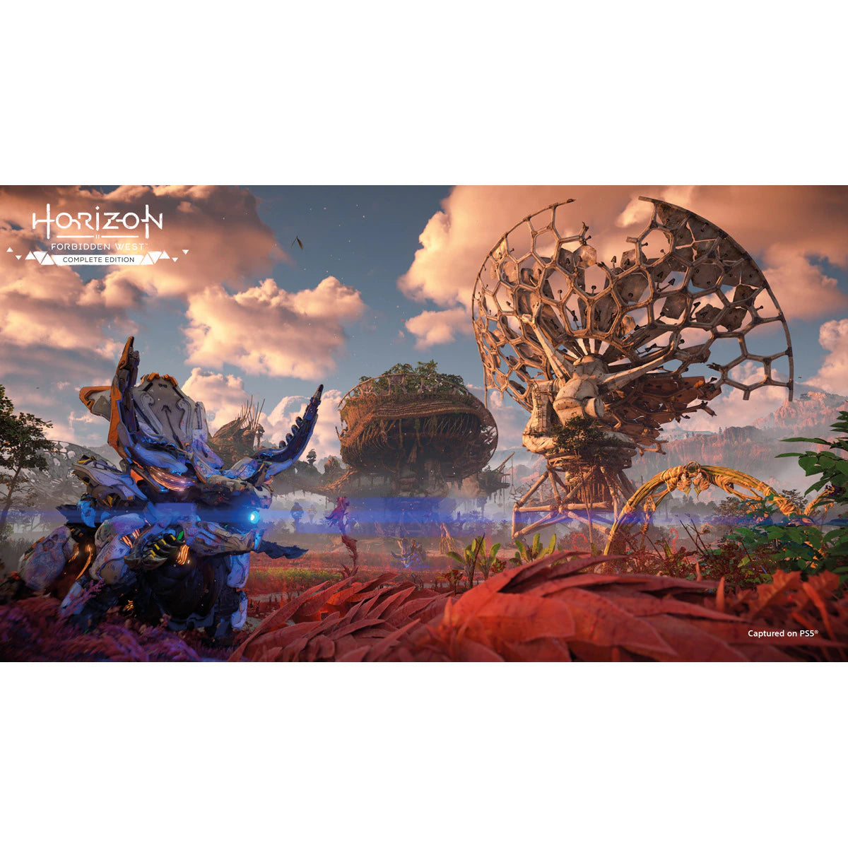 PS5 Horizon Forbidden West Complete Edition Action Adventure Game