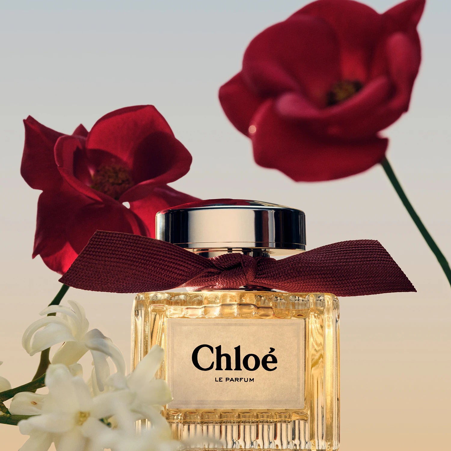 Chloé Signature Elixer Le Parfum Eau de Parfum 100 ml
