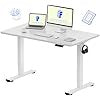 FLEXISPOT EN1 One-Piece Standing Desk, 48 x 24 Inches Electric Height Adjustable Desk for Home Office (White Frame + White Desktop)