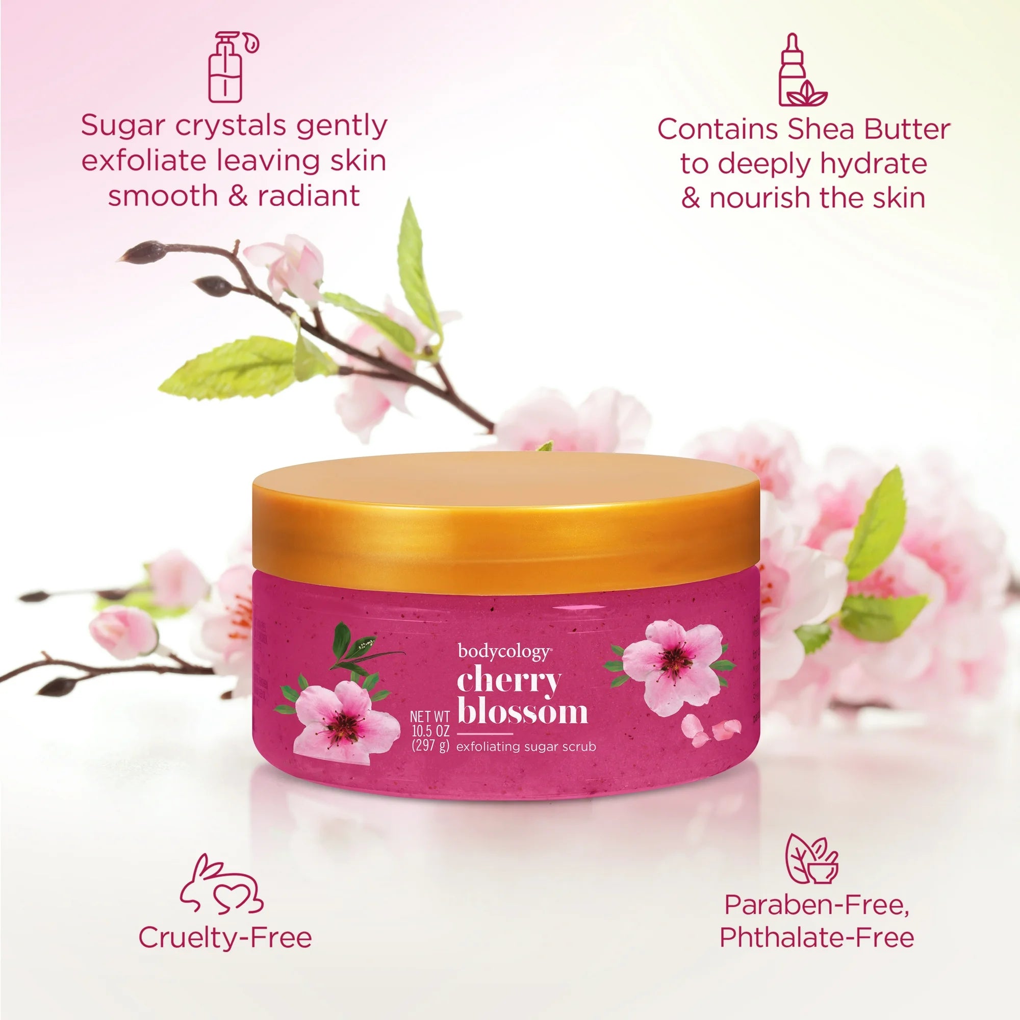 Bodycology Cherry Blossom Sugar Scrub10.5 oz
