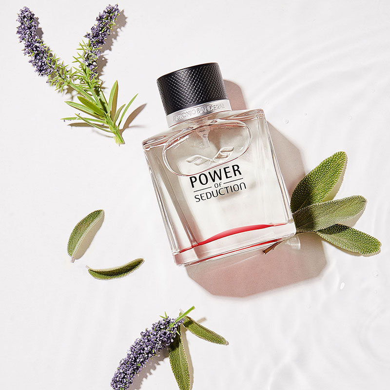 Antonio Banderas Power of Seduction Eau De Toilette Spray 100ml