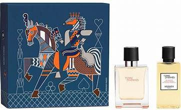 Hermes Terre d'Hermès  EDT50 ml + 40 ml Giftset