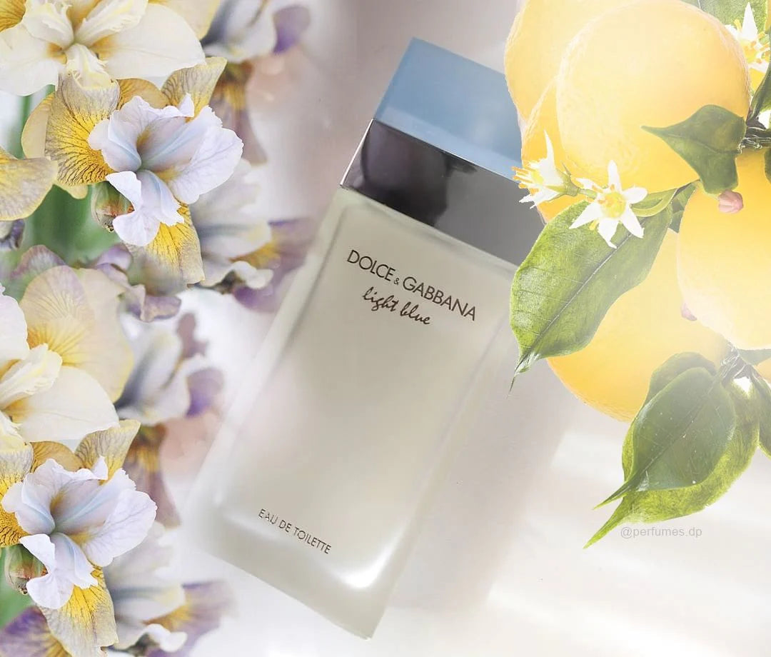 Dolce & Gabbana Light Blue 100ML EDT