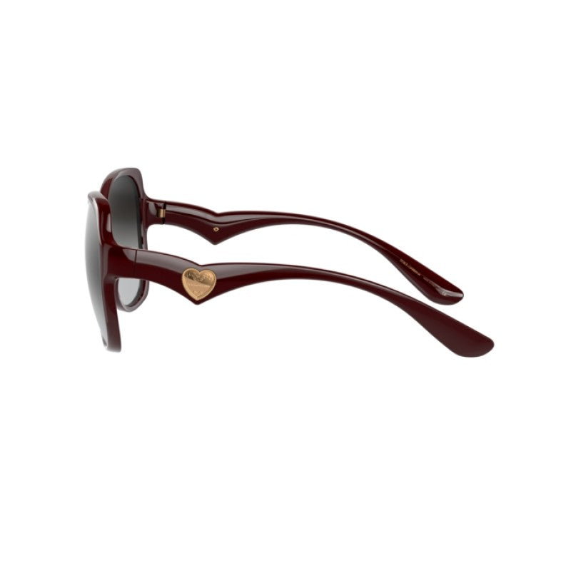 Dolce & Gabbana 0DG6154 32858G Women Transparent Bordeaux Sunglass