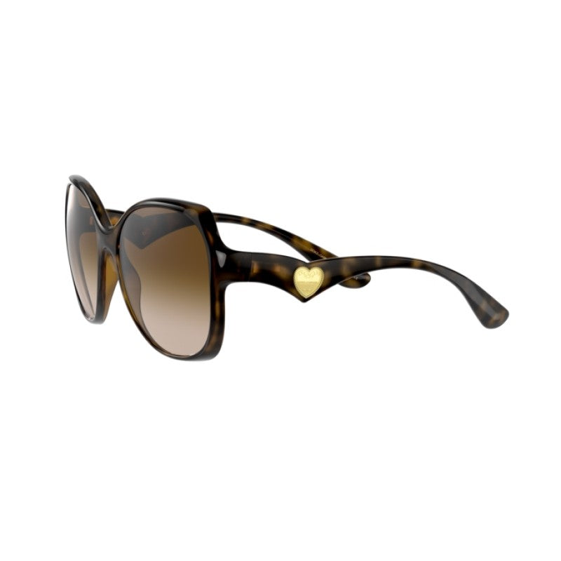 Dolce & Gabbana 0DG6154 502/13 Women Transparent Brown Sunglasses