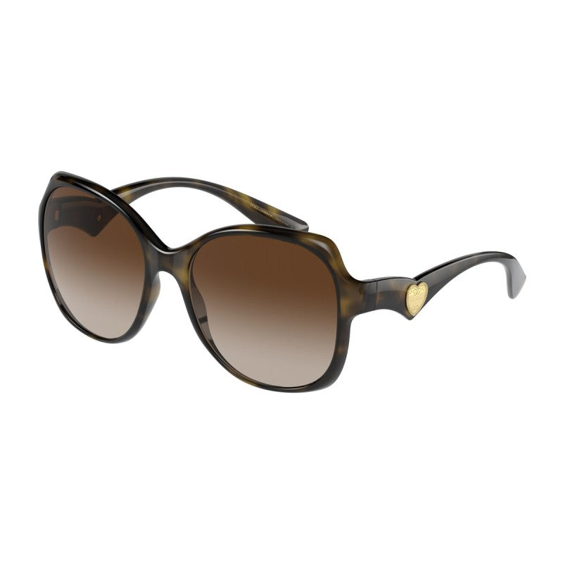 Dolce & Gabbana 0DG6154 502/13 Women Transparent Brown Sunglasses